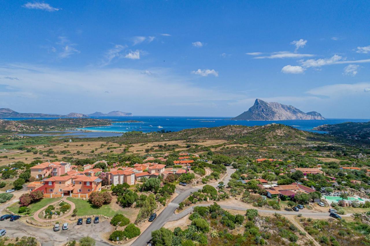 Lu Nibareddu 3*
